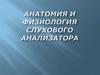 Анатомия и физиология слухового анализатора