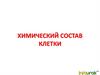 Химический состав клетки