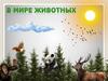 В мире животных