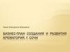Бизнес-план создания и развития крематория, г. Сочи