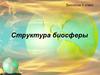 Структура биосферы