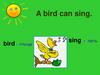 A bird can sing