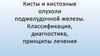 Кисты и кистозные опухоли поджелудочной железы. Классификация, диагностика, принципы лечения