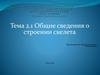 Строение скелета человека. (Тема 2.1)