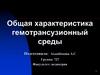 Общая характеристика гемотрансфузионной среды