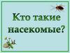 Кто такие насекомые