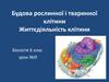 Будова рослинної і тваринної клітини. Життєдіяльність клітини. 6 клас