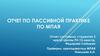 Отчет по пассивной практике по МПАЯ