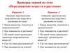 Проверка знаний по теме «Передвижение веществ в растении»