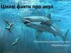 Цікаві факти про акул