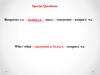 Специальные вопросы. 8-9 класс