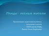 Птицы - лесные жители