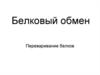 Белковый обмен. Переваривание белков