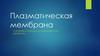 Плазматическая мембрана. Строение и функции плазматической мембраны