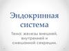 Эндокринная система: железы внешней, внутренней и смешанной секреции