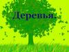 Деревья. Лиственные и хвойные деревья