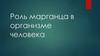 Роль марганца в организме человека