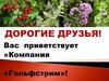 Вас приветствует «Компания «Гольфстрим»!