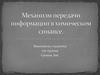 Механизм передачи информации в химическом синапсе
