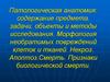 Патологическая анатомия: содержание предмета, задачи, объекты и методы исследования