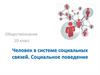 Человек в системе социальных связей. Социальное поведение