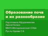 Образование почв и их разнообразие