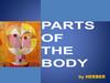 Body parts