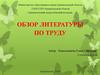 Обзор литературы по труду