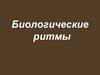 Биологические ритмы