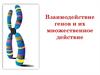 Взаимодействие генов и их множественное действие