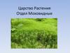 Царство растения. Отдел моховидные