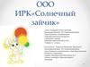 ООО ИРК «Солнечный зайчик» (игровой развлекательный комплекс)