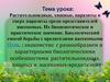 Растительноядные, хищные, паразиты и сверх паразиты среди представителей насекомых