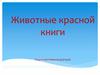 Животные Красной книги