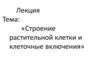 Строение растительной клетки и клеточные включения
