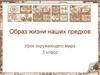 Образ жизни наших предков