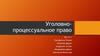 Уголовно-процессуальное право в системе РФ