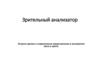Анализаторы. Органы чувств человека