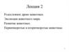 Родословное древо животных. Эволюция животного мира. Развитие животных