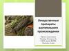 Лекарственные препараты растительного происхождения
