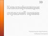 Классификация отраслей права