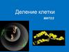 Деление клетки. Типы деления клеток