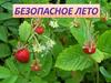 Безопасное лето