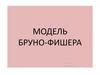 Модель Бруно-Фишера
