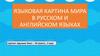 Языковая картина мира в русском и английском языках