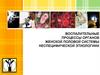 Воспалительные процессы органов женской половой системы неспецифической этиологиии