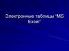 Электронные таблицы “MS Excel”
