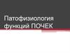Патофизиология функций почек