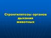 Стронгилятозы органов дыхания