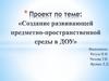 Создание развивающей предметно-пространственной среды в ДОУ